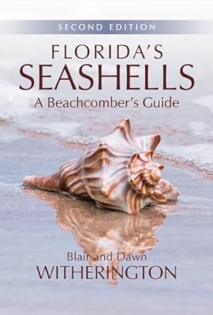 floridas seashells a beachcombers guide 2nd edition blair witherington 1561649821, 978-1561649822