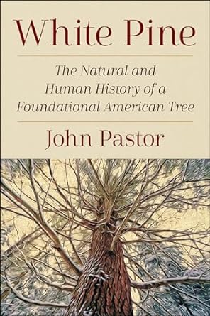 white pine the natural and human history of a foundational american tree 1st edition john pastor ph d