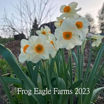 frog eagle farms 2023 1st edition kathe welch ,deborah shreve b0cqrr75jm, 979-8872303015