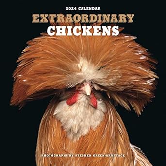 extraordinary chickens 2024 wall calendar 1st edition stephen green armytage 1419768638, 978-1419768637