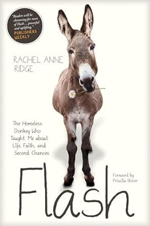 flash the homeless donkey who taught me about life faith and second chances 1st edition rachel anne ridge