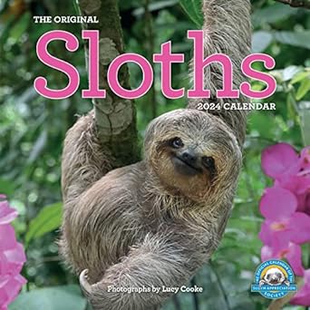 original sloths wall calendar 2024 the ultimate experts at slowing down 1st edition workman calendars ,lucy