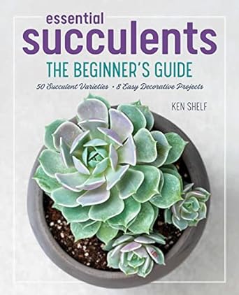 essential succulents the beginners guide 1st edition ken shelf ,rachel weill 1641522550, 978-1641522557