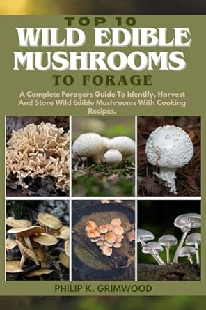 top 10 wild edible mushrooms to forage a complete foragers guide to identify harvest and store wild edible