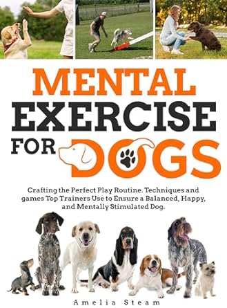 mental exercise for dog crafting the perfect play routine techniques and games top trainers use to ensure a