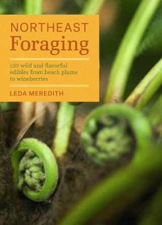 northeast foraging 120 wild and flavorful edibles from beach plums to wineberries 1st edition leda meredith