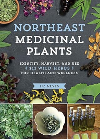 northeast medicinal plants identify harvest and use 111 wild herbs for health and wellness 1st edition liz