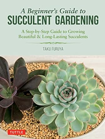 a beginners guide to succulent gardening a step by step guide to growing beautiful and long lasting