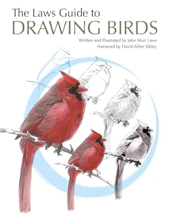 the laws guide to drawing birds 1st edition john muir laws 159714195x, 978-1597141956