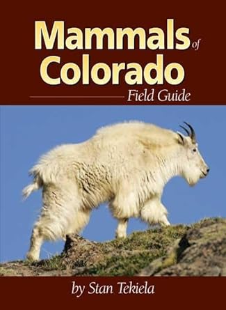 mammals of colorado field guide 1st edition stan tekiela 1591931975, 978-1591931973