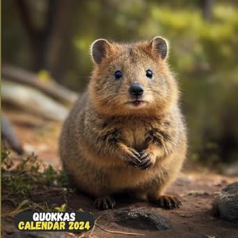 2024 quokkas calendar cute 12 month quokkas full size 8 58 5 from january 2024 december 2024 home and office