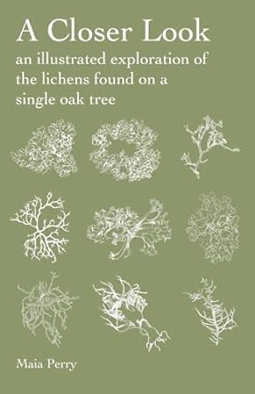 a closer look an illustrated exploration of the lichens found on a single oak 1st edition maia perry