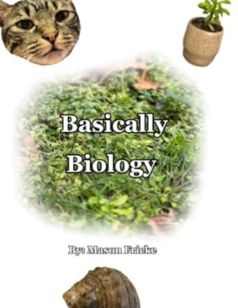 basically biology 1st edition mason fricke b0cntqsd3n, 979-8868496790