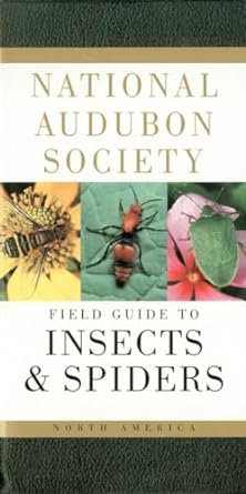 national audubon society field guide to insects and spiders north america 6th edition national audubon