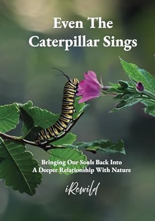 even the caterpillar sings bringing our souls back into a deeper relationship with nature 1st edition irewild