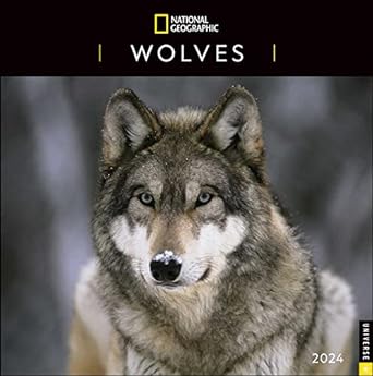 national geographic wolves 2024 wall calendar 1st edition national geographic ,disney 0789343495,