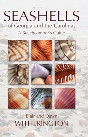 seashells of georgia and the carolinas 1st edition blair witherington ,dawn witherington 1561644978,