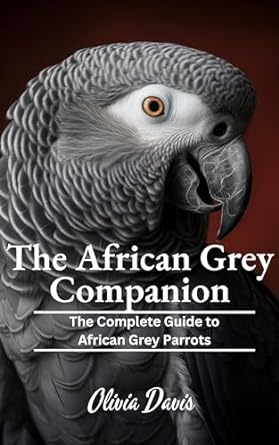 the african grey companion the complete guide to african grey parrots 1st edition olivia davis b0cns5frbp