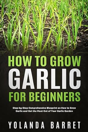 how to grow garlic for beginners step by step comprehensive blueprint on how to grow garlic and get the most