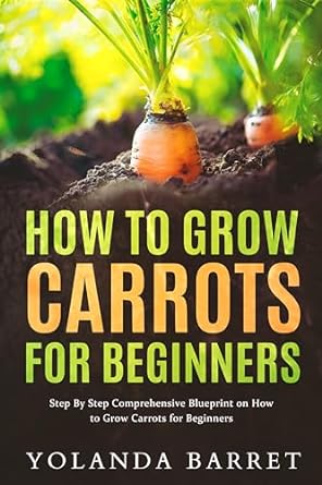 how to grow carrots for beginners step by step comprehensive blueprint on how to grow carrots for beginners