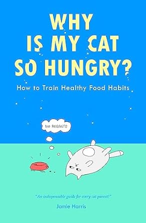 why is my cat so hungry how to train healthy food habits decode your cats hunger cues avoid common feeding