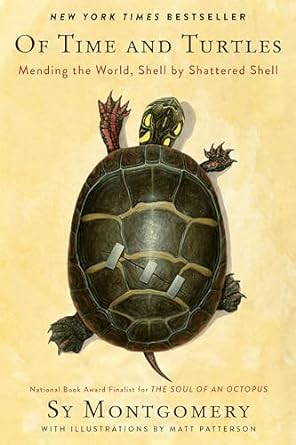 of time and turtles mending the world shell by shattered shell 1st edition sy montgomery ,matt patterson