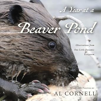 a year at a beaver pond observations from one little dynamic ecosystem 1st edition al cornell b0cnjm3xhg,
