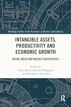 intangible assets productivity and economic growth micro meso and macro perspectives 1st edition carter bloch