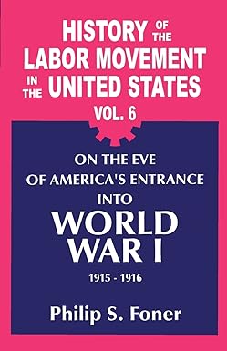 history of the labor movement in the united states on the eve of america s entrance into world war 1 1915 19