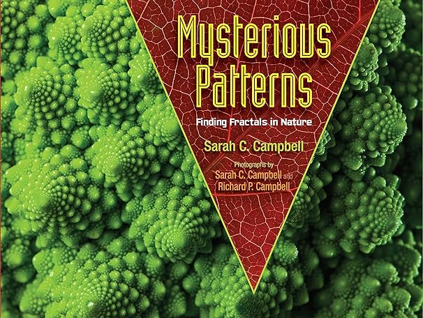 mysterious patterns finding fractals in nature 1st edition sarah c. campbell ,richard p. campbell 1662620411,