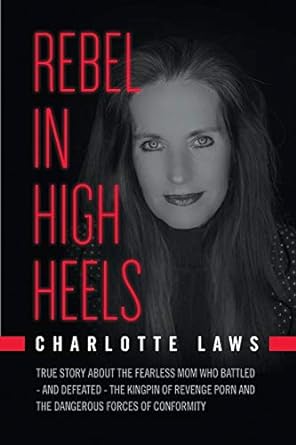 rebel in high heels true story about the fearless mom who battled and defeated the kingpin of revenge porn