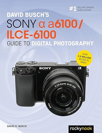 david buschs sony alpha a6100/ilce 6100 guide to digital photography 1st edition david d busch 1681985942,