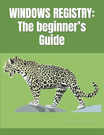 windows registry the beginner s guide 1st edition dr bienvenue maula 979-8818755366