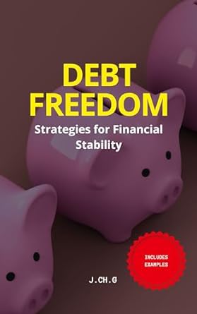 debt freedom strategies for financial stability 1st edition j c g b0cq8z35f3