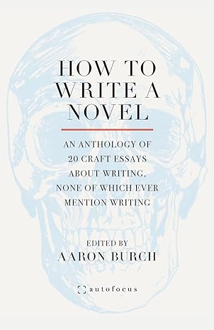 how to write a novel an anthology of 20 craft essays about writing none of which ever mention writing 1st