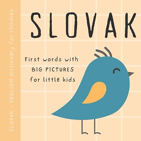 slovak english dictionary for children first words with big pictures for little kids baby book to learn