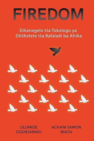 firedom dikanegelo tsa tokologo ya ditshelete tsa bafaladi ba afrika 1st edition olumide ogunsanwo ,achani