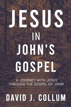 jesus in john s gospel a journey with jesus through the gospel of john 1st edition david j. collum