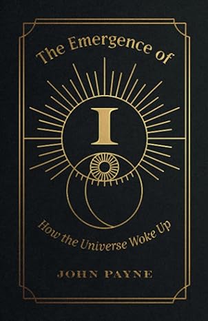 the emergence of i how the universe woke up 1st edition john houston payne iv 979-8988583202