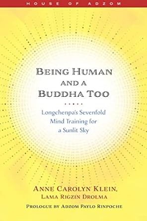 being human and a buddha too longchenpa s seven trainings for a sunlit sky 1st edition anne klein 1614297584,