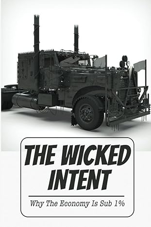 the wicked intent why the economy is sub 1 1st edition cheyenne meitzler b0bd8lky12, 979-8351888545