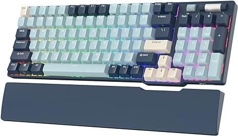 rk royal kludge rk96 rgb limited ed 90 96 keys wireless triple mode bt5 0/2 4g/usb c hot swappable mechanical