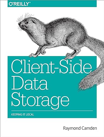 client side data storage keeping it local 1st edition raymond camden 1491935111, 978-1491935118