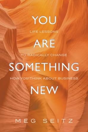 you are something new life lessons to radically change how you show up in business 1st edition meg seitz