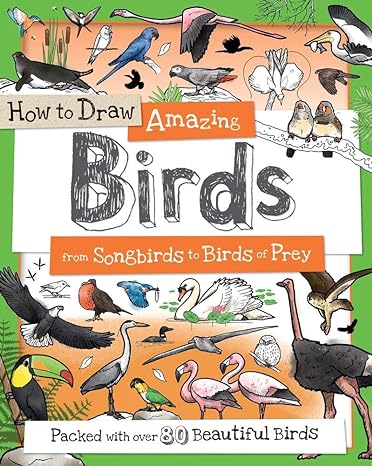 how to draw amazing birds from songbirds to birds of prey 1st edition paul calver, toby reynolds, fiona gowen