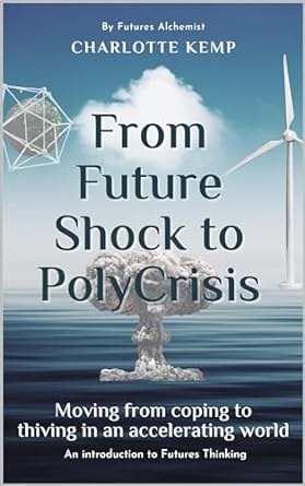 future shock to poly crisis moving from coping to thriving in an accelerating world 1st edition charlotte