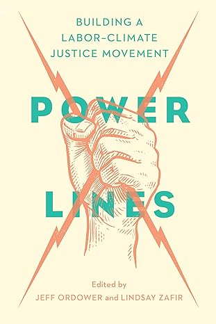 power lines building a labor climate justice movement 1st edition jeff ordower ,lindsay zafir 1620978180,