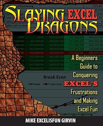 slaying excel dragons a beginners guide to conquering excels frustrations and making excel fun 1st edition