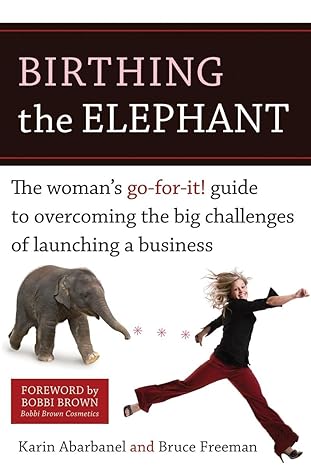 birthing the elephant the womans go for it guide to overcoming the big challenges of launching a business 1st