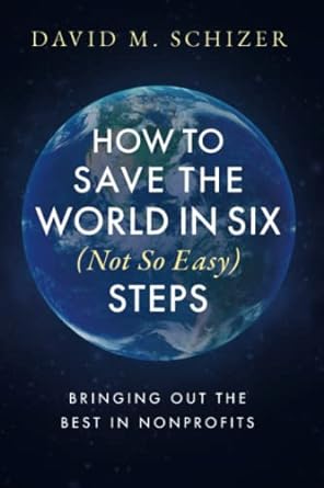 how to save the world in six steps bringing out the best in nonprofits 1st edition david m schizer